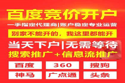 SEM推广实战：案例分析与优化